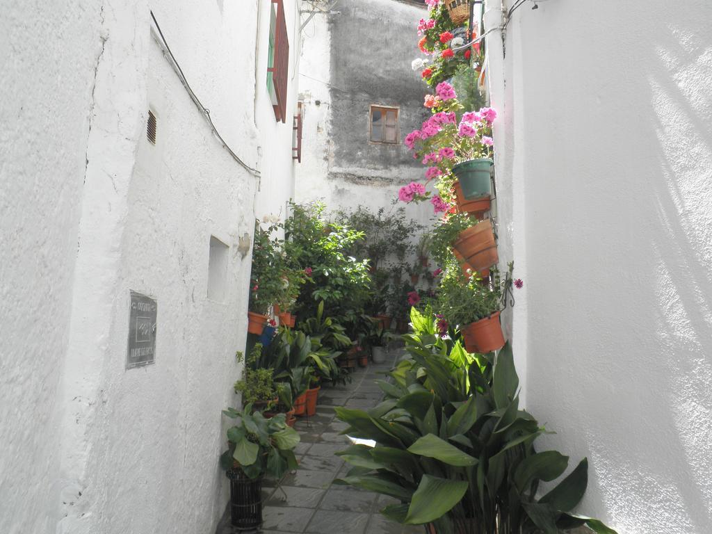 Hotel Juan Francisco Guejar Sierra Dış mekan fotoğraf