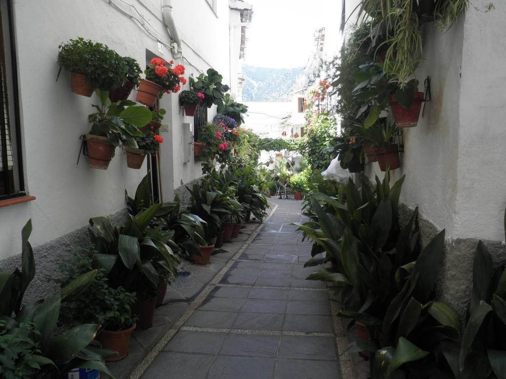 Hotel Juan Francisco Guejar Sierra Dış mekan fotoğraf