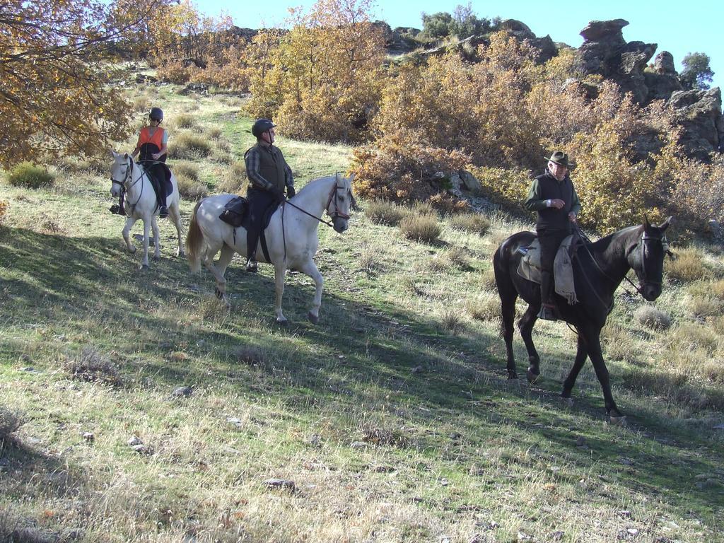 Hotel Juan Francisco Guejar Sierra Dış mekan fotoğraf