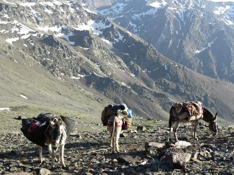 Hotel Juan Francisco Guejar Sierra Dış mekan fotoğraf